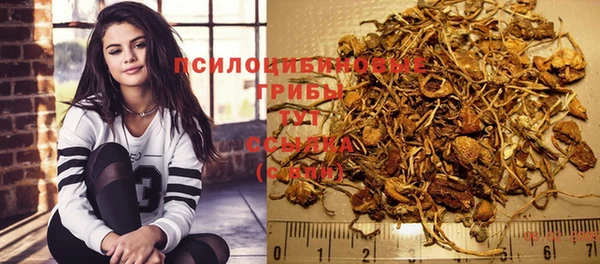 прущие грибы Балахна