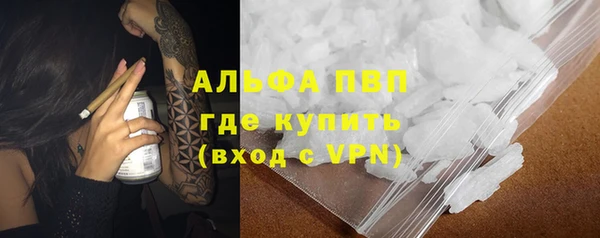 прущие грибы Балахна