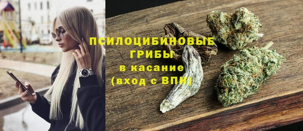 прущие грибы Балахна