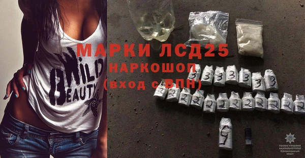 прущие грибы Балахна