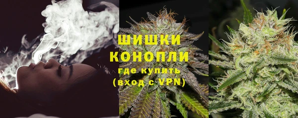 прущие грибы Балахна